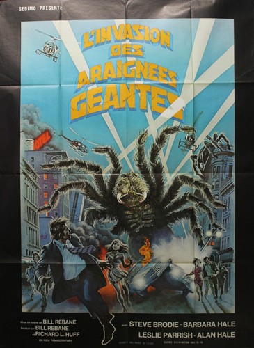 Invasion des araignées - "l'invasion,