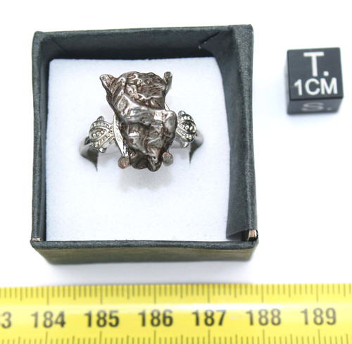 Bague météorite campo - campo, del