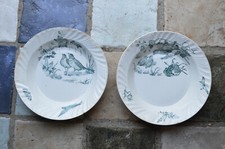 2  Anciens Plats Creux Modèle Aucella Saint Amand et Hamage Décor Oiseaux 26cm