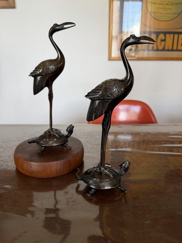 Cigogne sur carapace une - cigogne, la