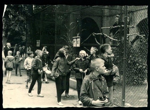 Zoo frankfurt main 1963 - zoo,