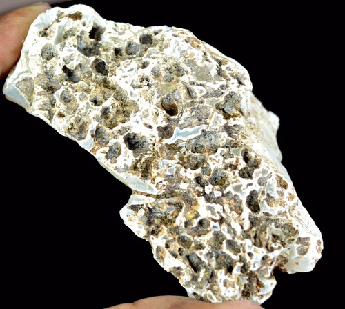 Naturel 1049 australien - 1049, ct