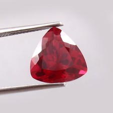 AAA Naturel Birman Pigeon