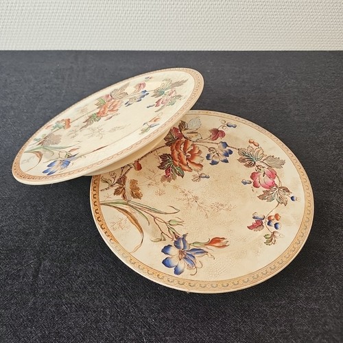 Assiettes élevées décor - Élevées,