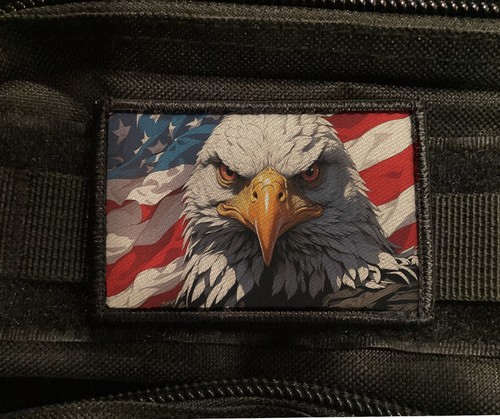 Patriote chauve aigle patch - aigle,