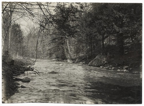 Vintage old 1901 - old,