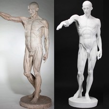 L’Ecorche by Jean-Antoine