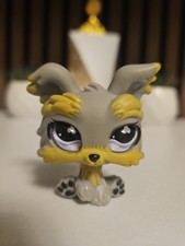 ✨️Petshop Yorkshire 883-