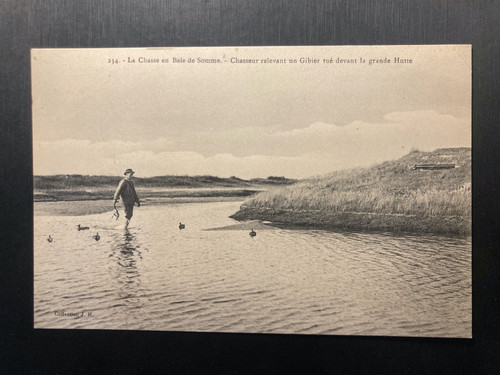 Cpa chasse baie de - la,