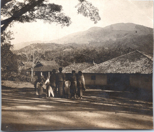 Ceylan kandy - ceylan, (sri