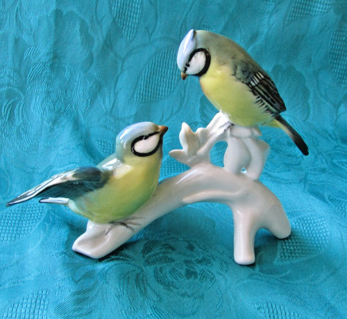 Couple mésange oiseaux en - oiseaux,