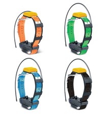 Collier suppl. dressage et