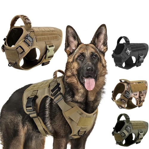 Harnais tactique militaire - harnais,