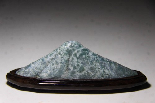 Bonsaï suiseki bonseki jardin - bonsaï,