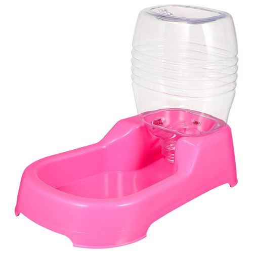 500 accessoires pour - accessoires, chien