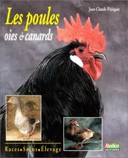 Les poules, oies, canards. Races, soins, élevage, Jean-Claude Périquet