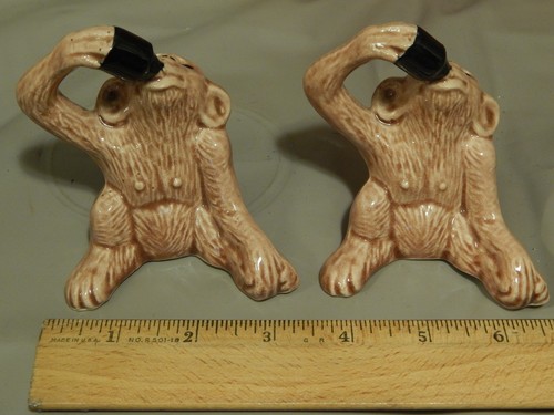 Drunk monkeys drinking - drunk, ~