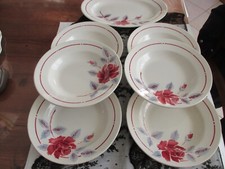 ensemble de 6 anciennes assiettes creuses et un plat ovale MOULIN DES LOUPS