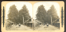 STEREO Japan JAPON - Nikko - Route du vieux palais - Vintage argentic print 1902
