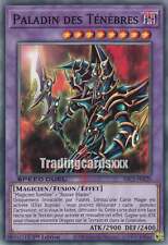 Yu-Gi-Oh! Paladin des