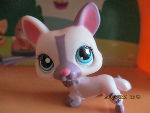 Petshop chien corgi 1645 - petshop,