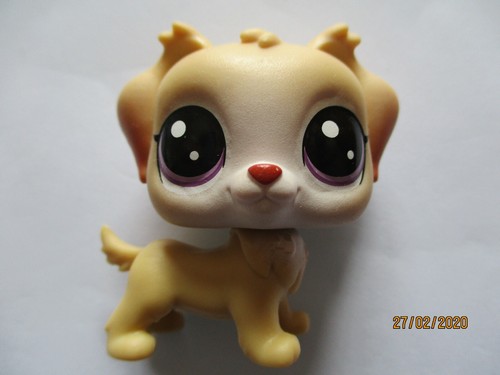 Petshop chien golden retriever - chien,