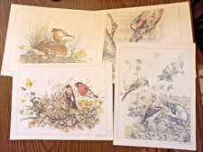 4 gravures "oiseaux" anciennes