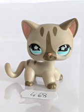 Petshop chat Européen 468