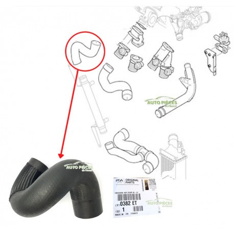 Durite turbo echangeur - durite, de