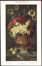 1910 Lithographie Tournesols