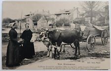 Carte Postale Ancienne, Charette à Vaches, Bresse
