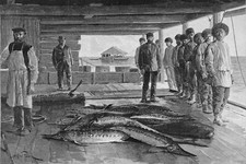 ARMÉNIE - PÊCHEURS