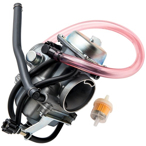 Carburetor fuel filter - carburetor, &
