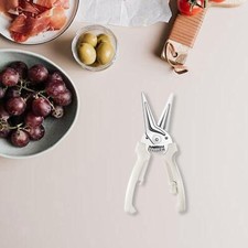 Ciseaux à volaille Ciseaux de