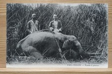 Réf29- CPA Laos - Pays Penon - Eléphant Tombé À Genoux Collection Barbat 