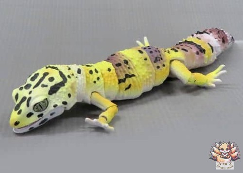 Mini figurine avancée leopard - mini,