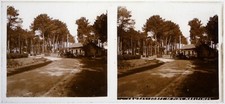 Les Landes.Fôret de Pins Maritimes.Voiture à Cheval.Stereo sur verre.6x13c.Glass