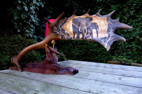 Fallow deer antler lamp - deer,
