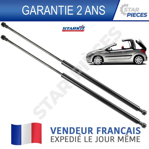 Verin coffre arriere - 2,