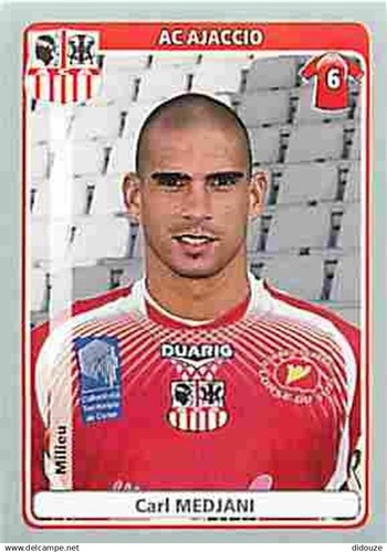 Stickers panini france - stickers,