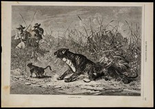 1869 - La panthère en