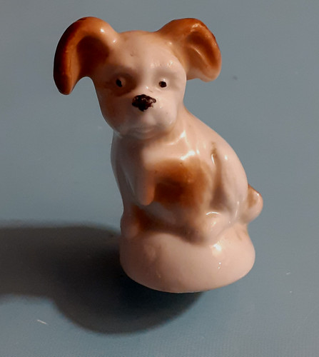 Fève allemande chien - fève,