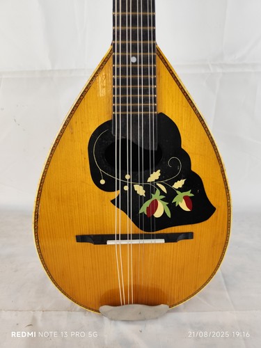 Mandolin luteria meazzi - mandolin,