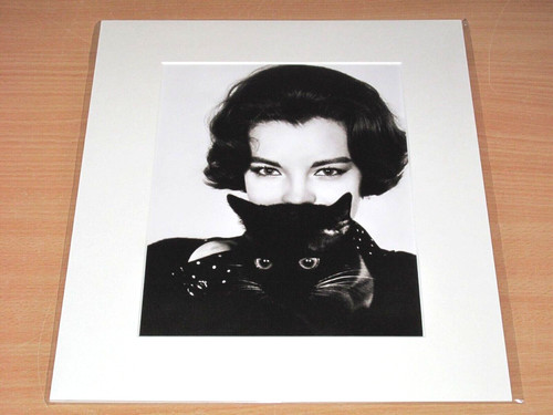 Lumas photo image romy - lumas,