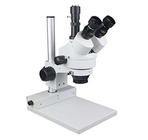 Zoom microscope stéréo
