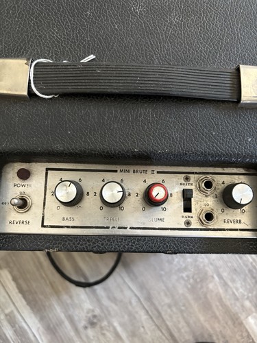Polytone mini brute single - brute,