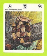 Fiche - Le livre de Paris - 1975 - Boa constrictor