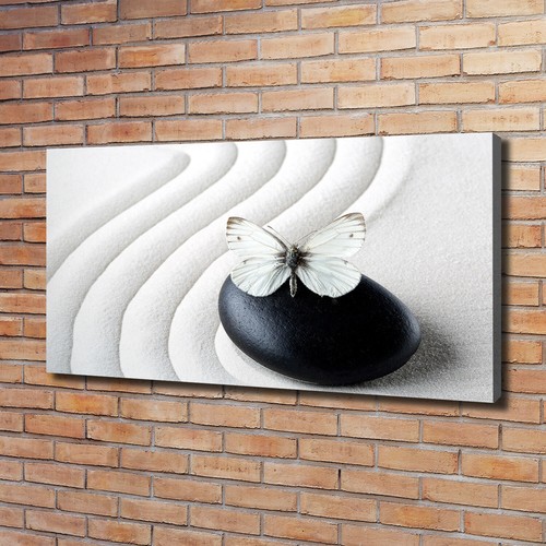 Tulup image sur - image,