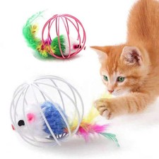 Popular Colorful Mouse in Cage