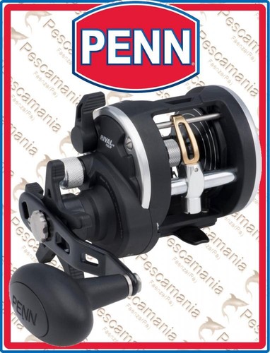 Penn rival level - penn, rival™